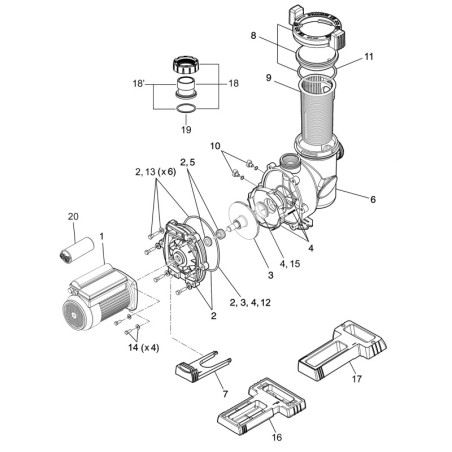 Schéma éclaté de la pompe de filtration FloPro. Le n°1 représente le moteur de pompe 100m.