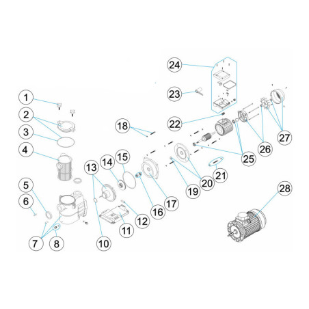 Schéma éclaté de la pompe de filtration Europa. Le n°20 représente la flasque accouplement moteur 2 à 3CV.