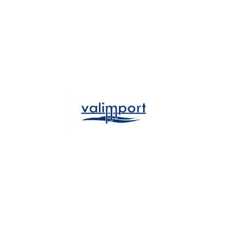 Logo Valimport.