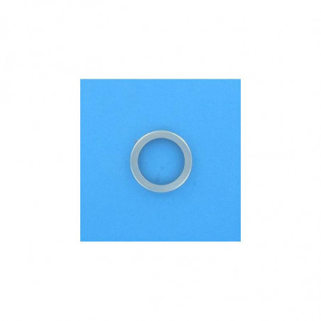 Image d'un anneau métallique pour pompe de filtration Europa.